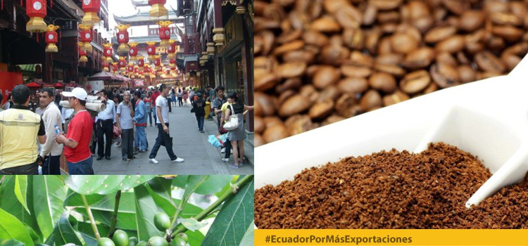 El café de cuatro provincias ecuatorianas llega a mercado chino
